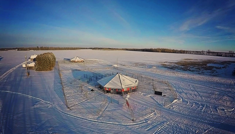 Aerial shot of 780 Kennels in winter. Aerial shot of 780 Kennels in winter.