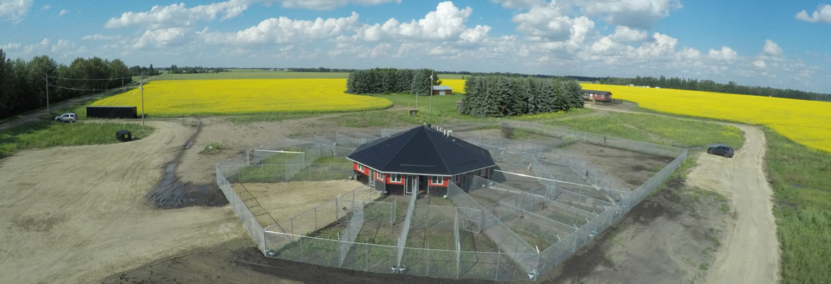 780's Dog Boarding & Dog Training Facilities in the Edmonton Metropolitan Area, AB.