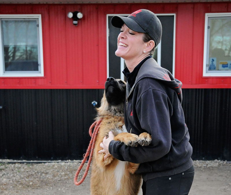 Canine hugs with staff outside 780 Kennels. Canine hugs with staff outside 780 Kennels.