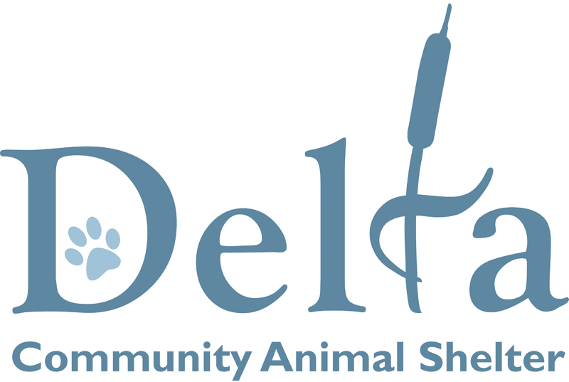 Open Delta Community Animal Shelter letter of reference for 780 Kennels.