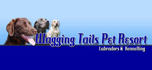 Wagging Tails Pet Resort