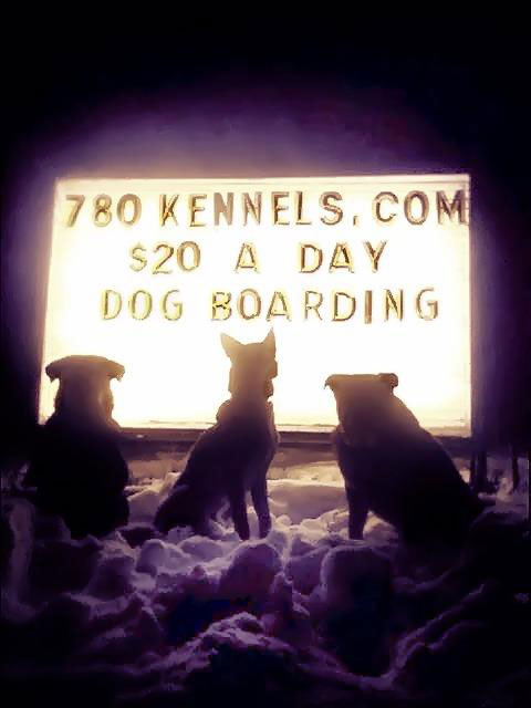 $20 a Day Dog Boarding at Olde 780 Kennels
