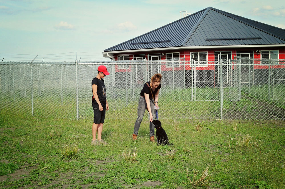 Dog trainer mentoring at 780 Kennels
