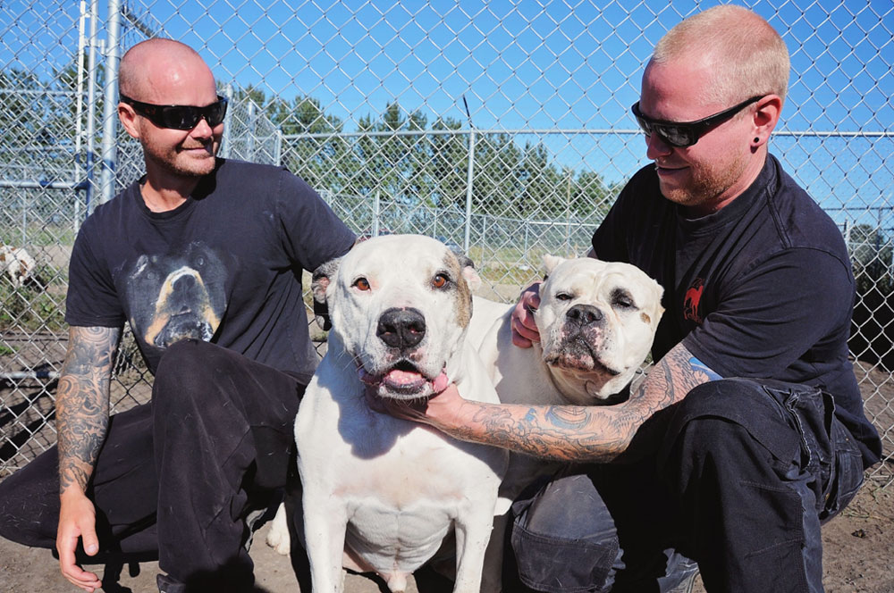 Jaws and Rhyno loving their trainers