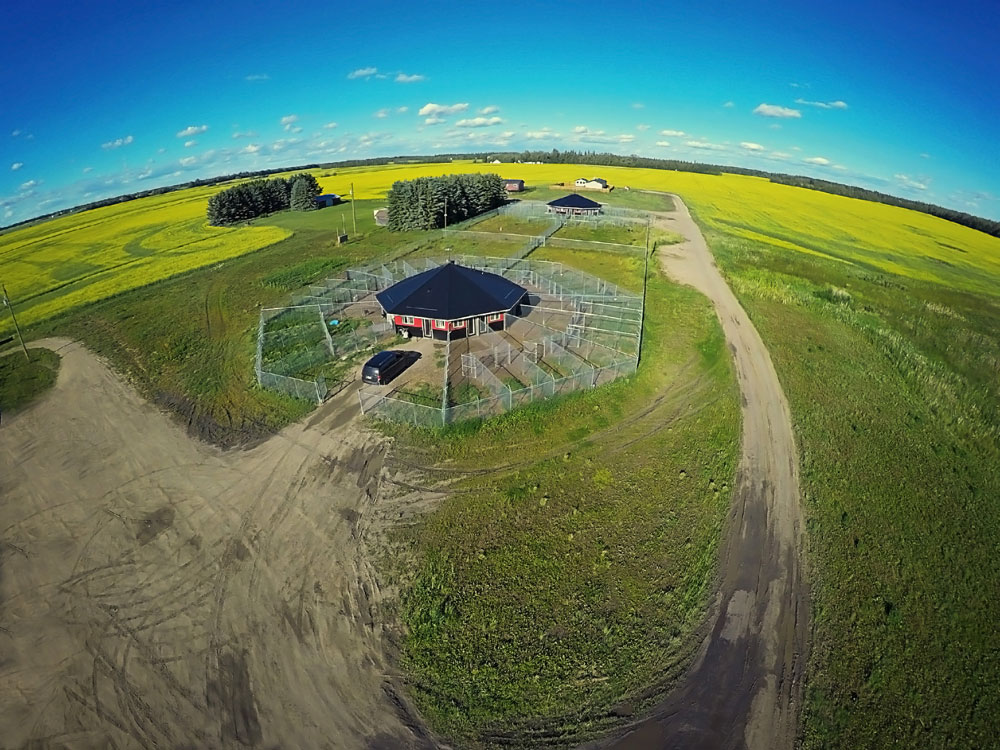 New 780 Kennels with 2 Octagon Facilities