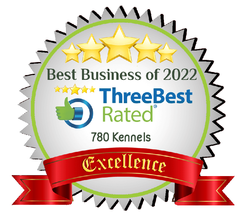 Best Business 2022 Award of Excellence from ThreeBestRated.ca