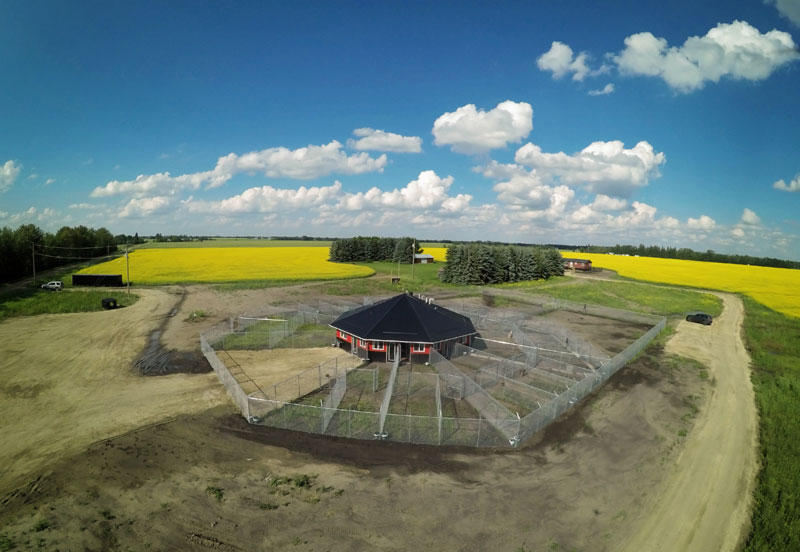 Panoptic aerial view of 780 Kennels during Summer.