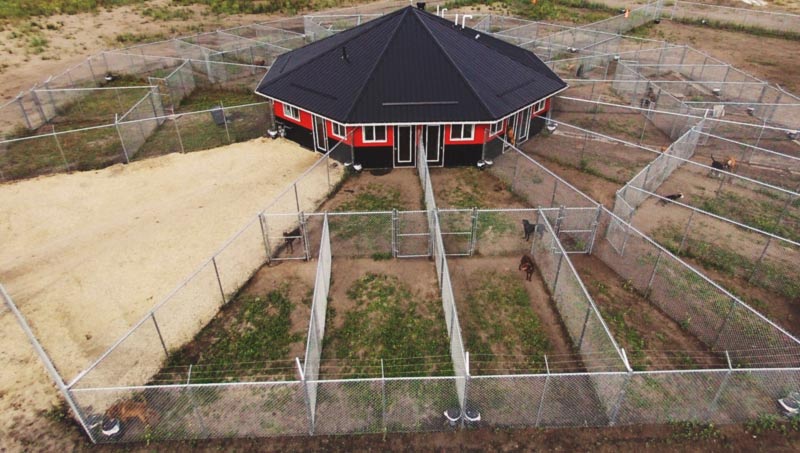 Aerial shot of 780's octagon kennels.
