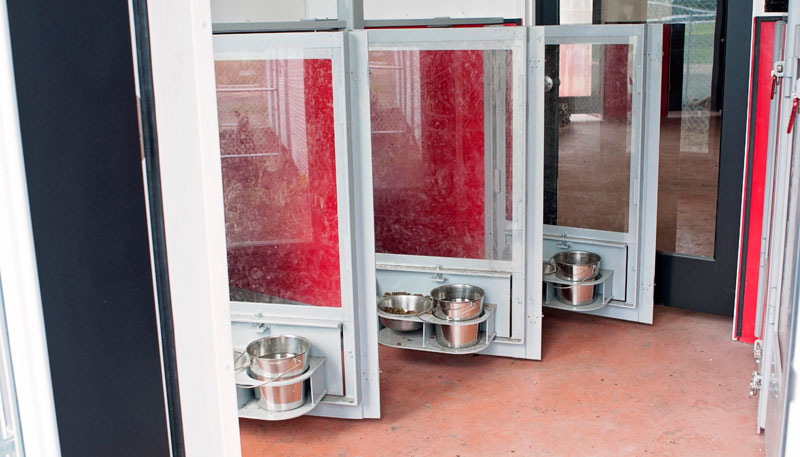 Alberta residential grade interior kennel design: plexiglass doors, raised swivel feeding trays, puck board walls