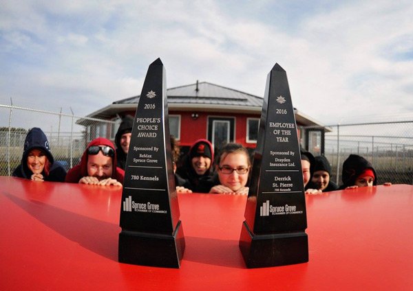 Chamber of Commerce Awards for 780 Kennels & Staff.