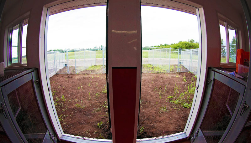 Private indoor boarding spaces & outdoor exercise areas in channelized fencing on country soil.