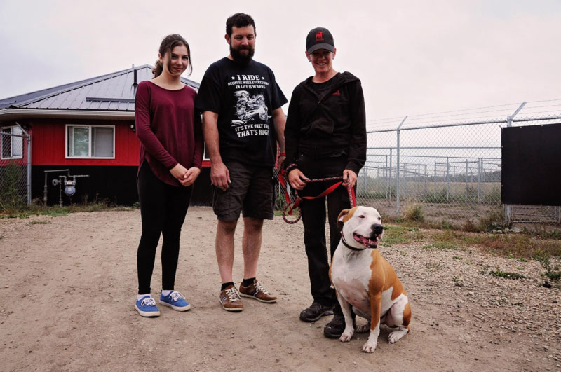Rescue dog training with his family at 780 Kennels, Stony Plain, AB.
