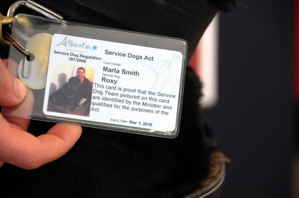 Alberta service dog registration for Roxy & Marla.